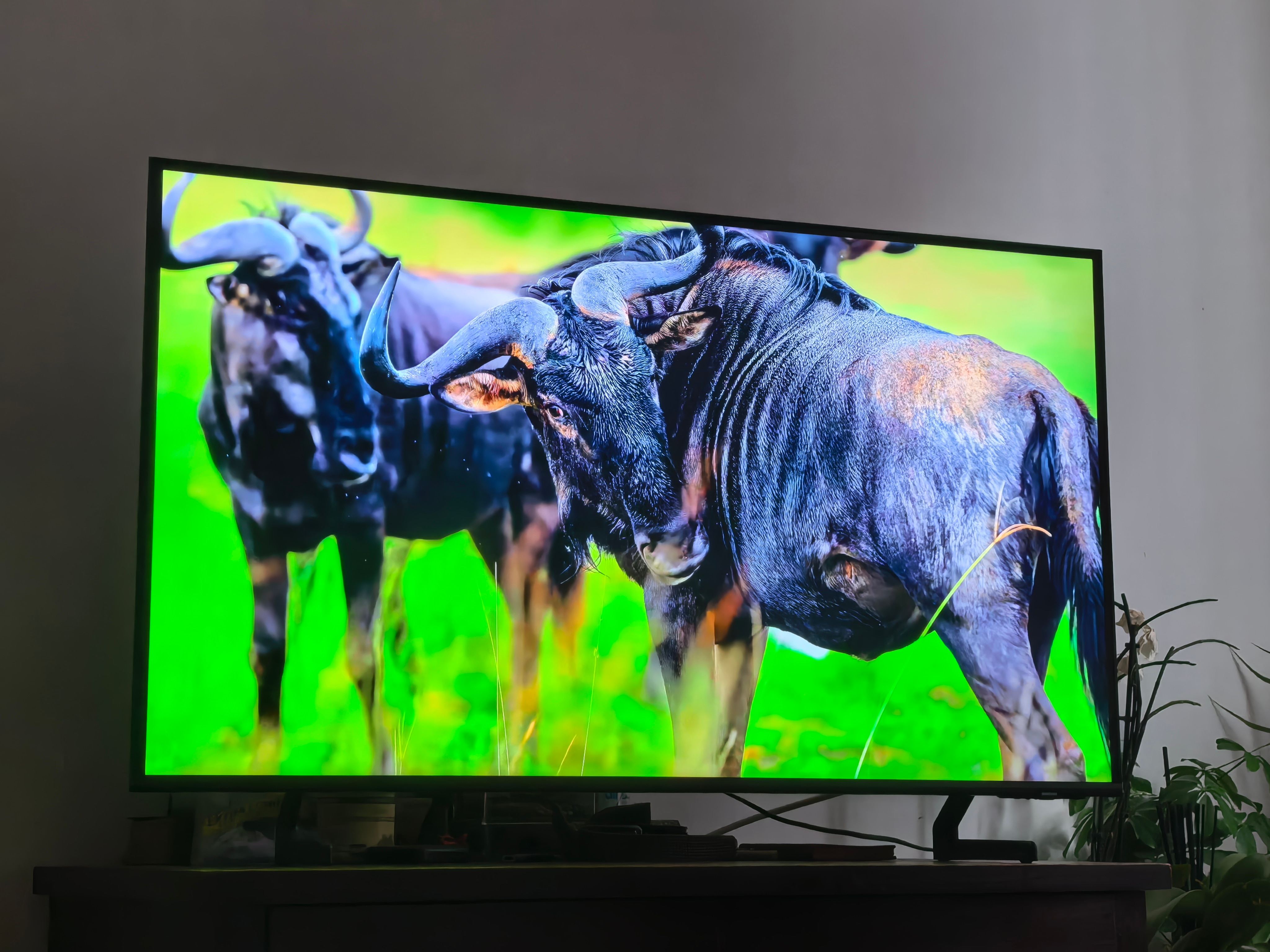 Televizor SAMSUNG QLED 75Q60C, 189 cm, Smart, 4K Ultra HD, Clasa D (Model 2023)