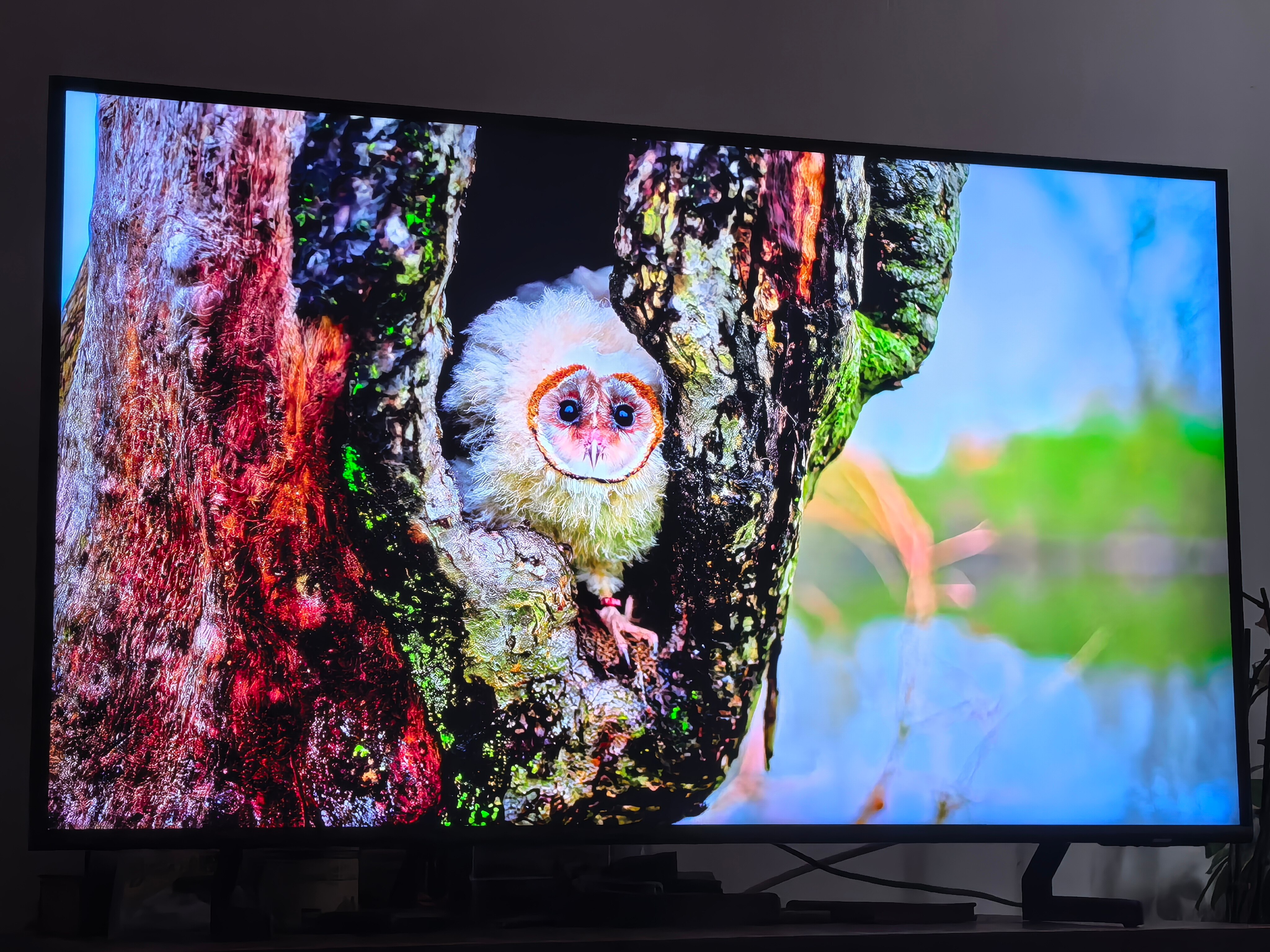Televizor SAMSUNG QLED 75Q60C, 189 cm, Smart, 4K Ultra HD, Clasa D (Model 2023)