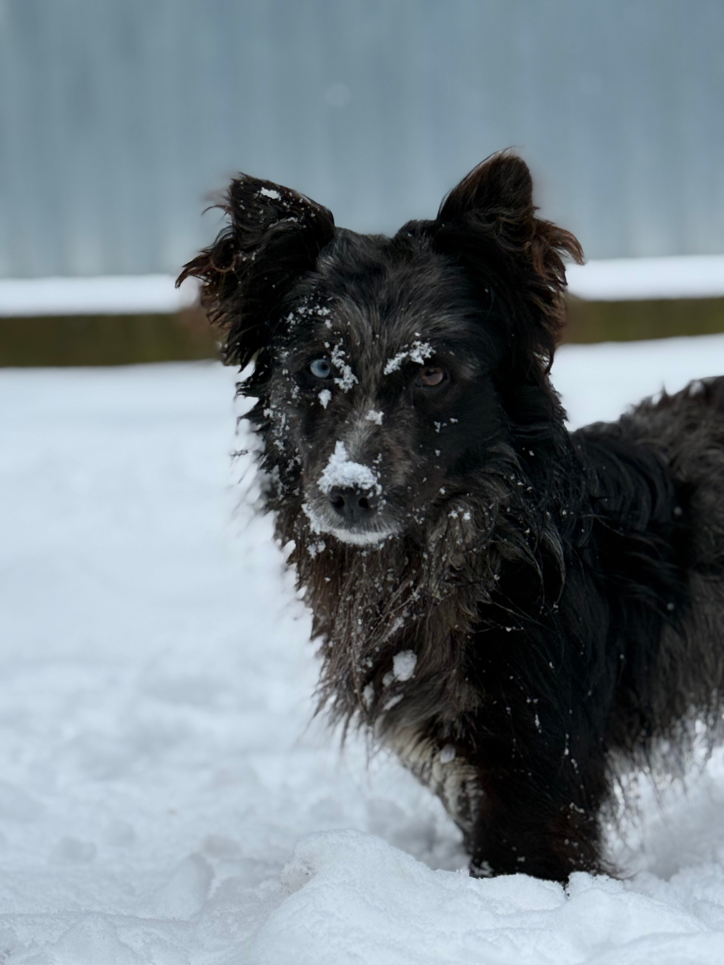 Telefon mobil Apple iPhone 16 Pro, 512GB, 5G, Natural Titanium