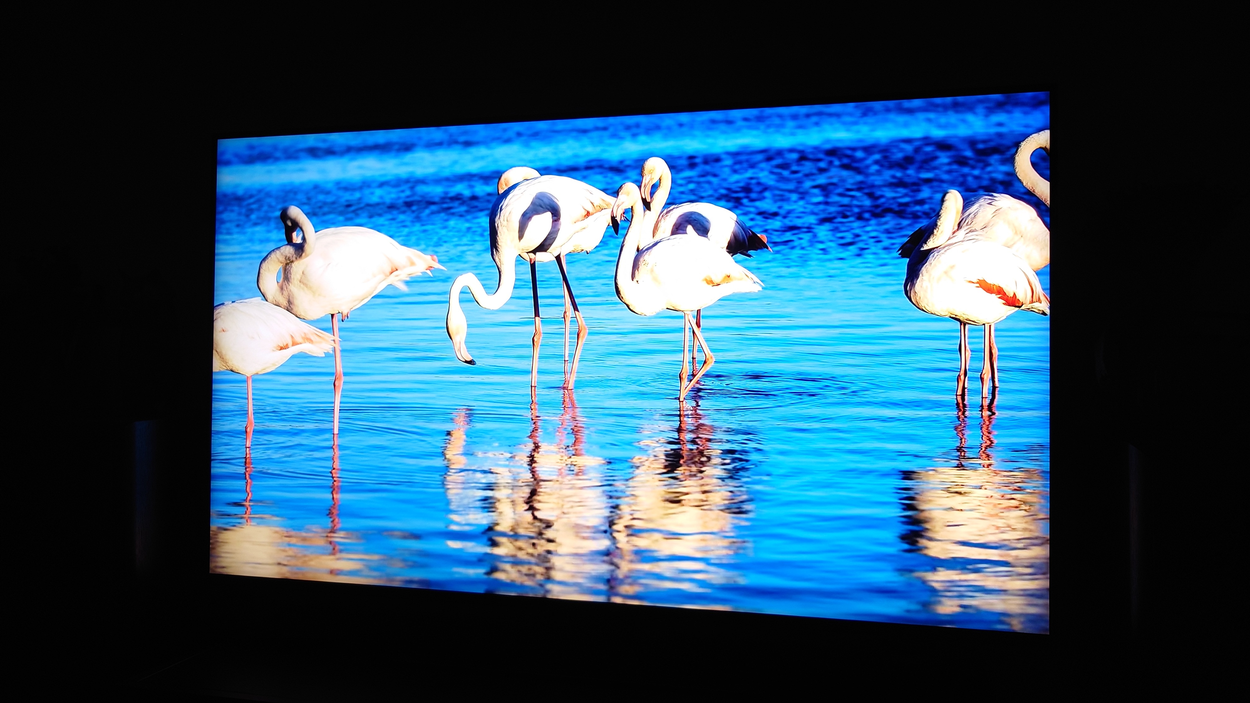 Televizor SAMSUNG MiniLED Neo QLED 75QN90F, 189 cm, Smart, 4K Ultra HD, 100 Hz, Clasa E (Model 2025)