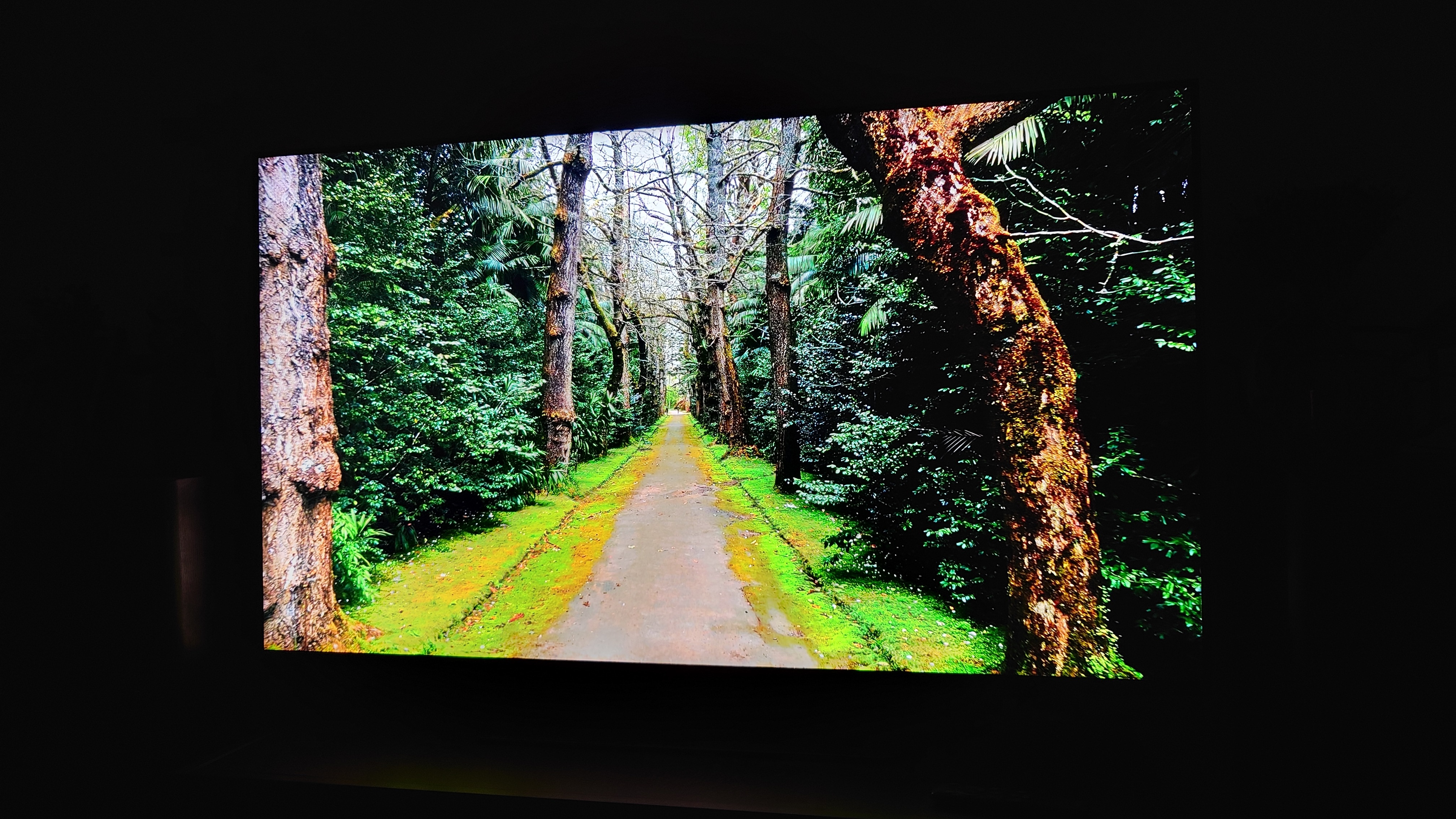 Televizor SAMSUNG MiniLED Neo QLED 75QN90F, 189 cm, Smart, 4K Ultra HD, 100 Hz, Clasa E (Model 2025)