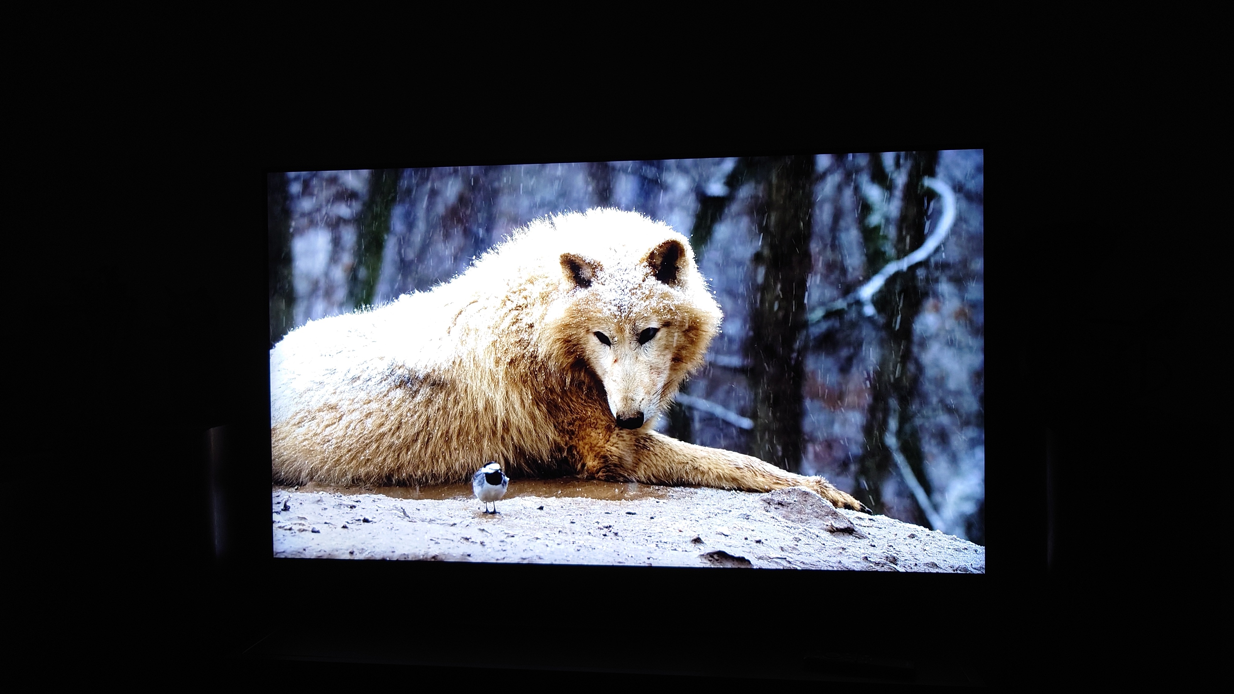 Televizor SAMSUNG MiniLED Neo QLED 75QN90F, 189 cm, Smart, 4K Ultra HD, 100 Hz, Clasa E (Model 2025)