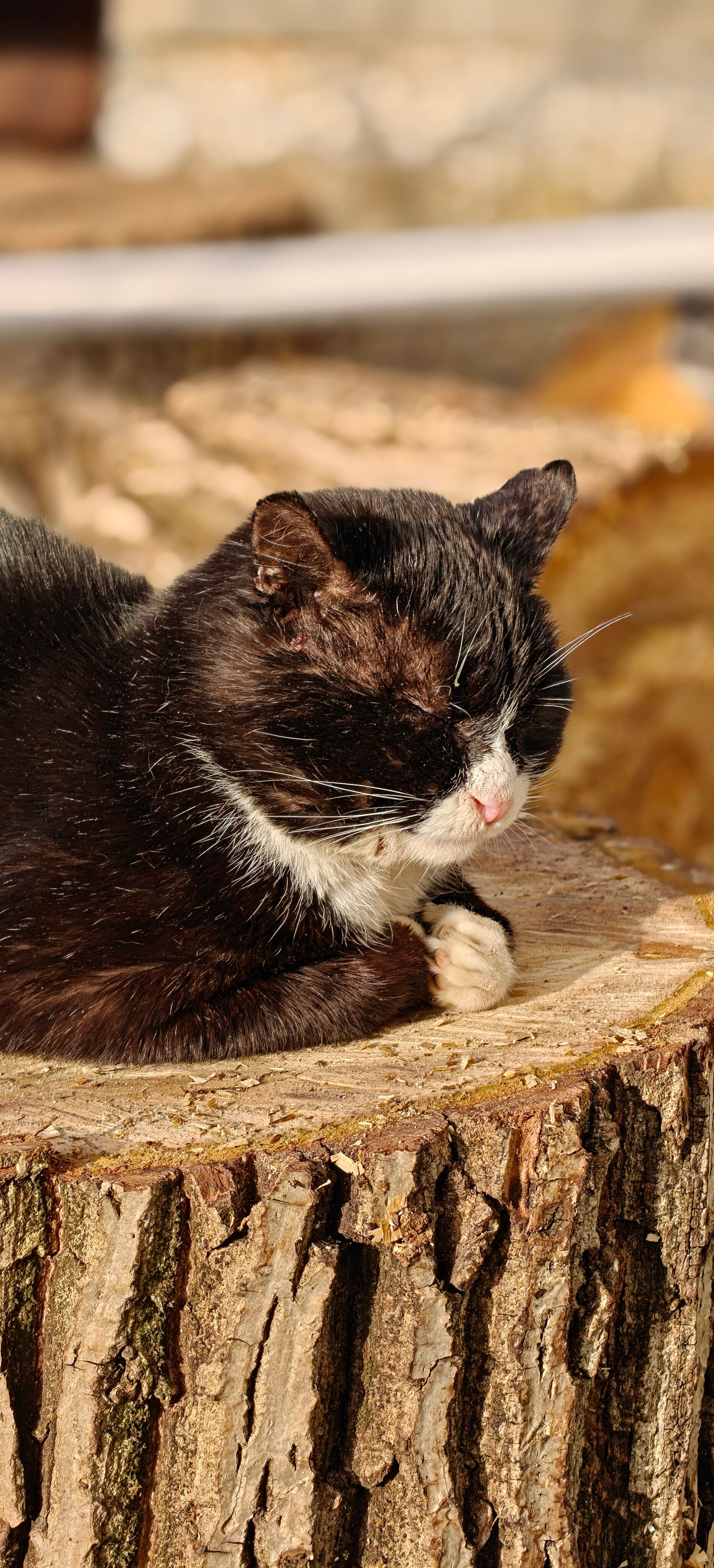 Telefon OnePlus 13, 12GB RAM, 256GB, 5G, Black Eclipse