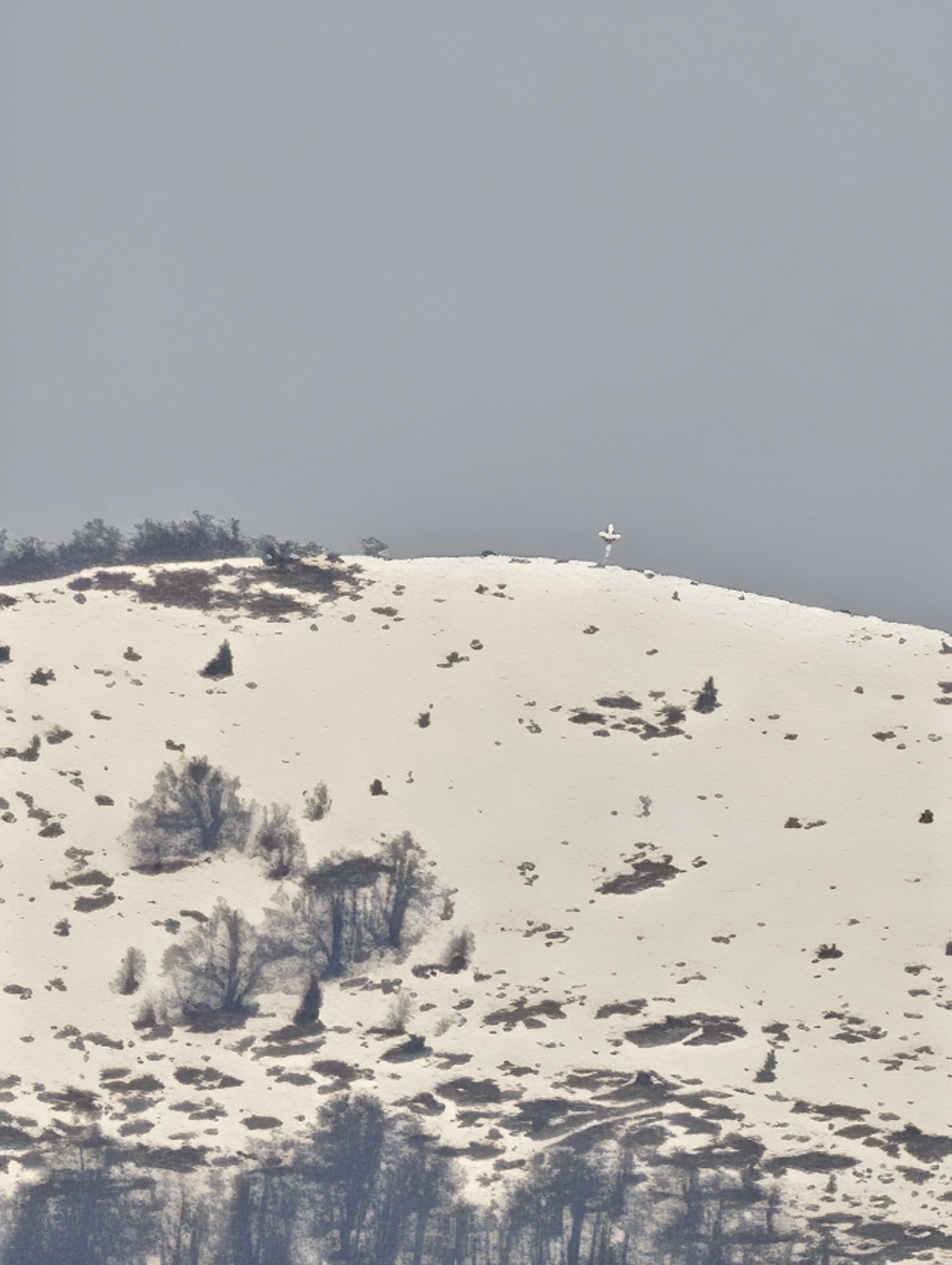 Telefon mobil Xiaomi 15 Ultra, 16GB RAM, 512GB, 5G, White