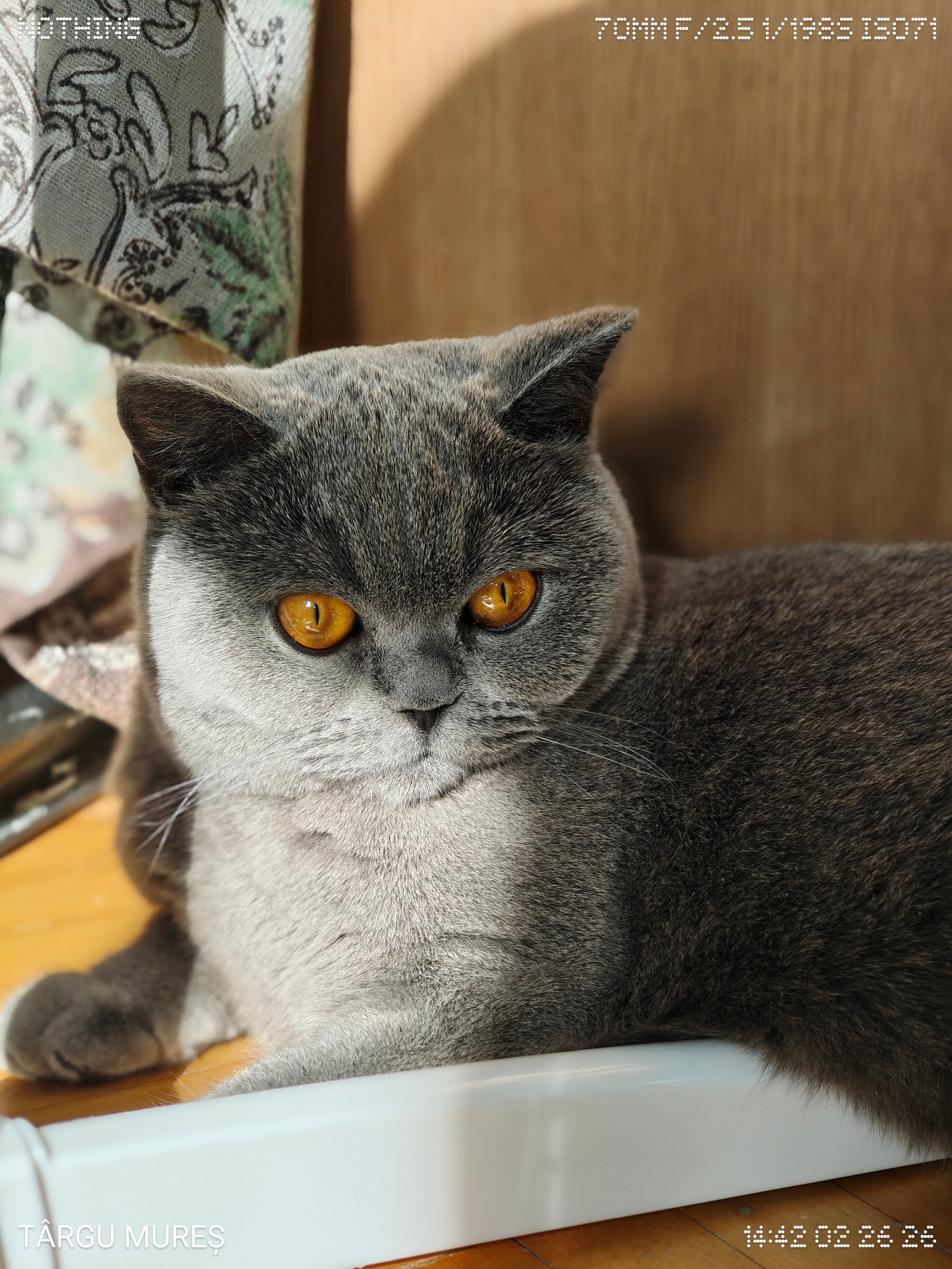 Telefon mobil Nothing Phone (3a) Pro, 256GB, 12GB RAM, 5G, Black