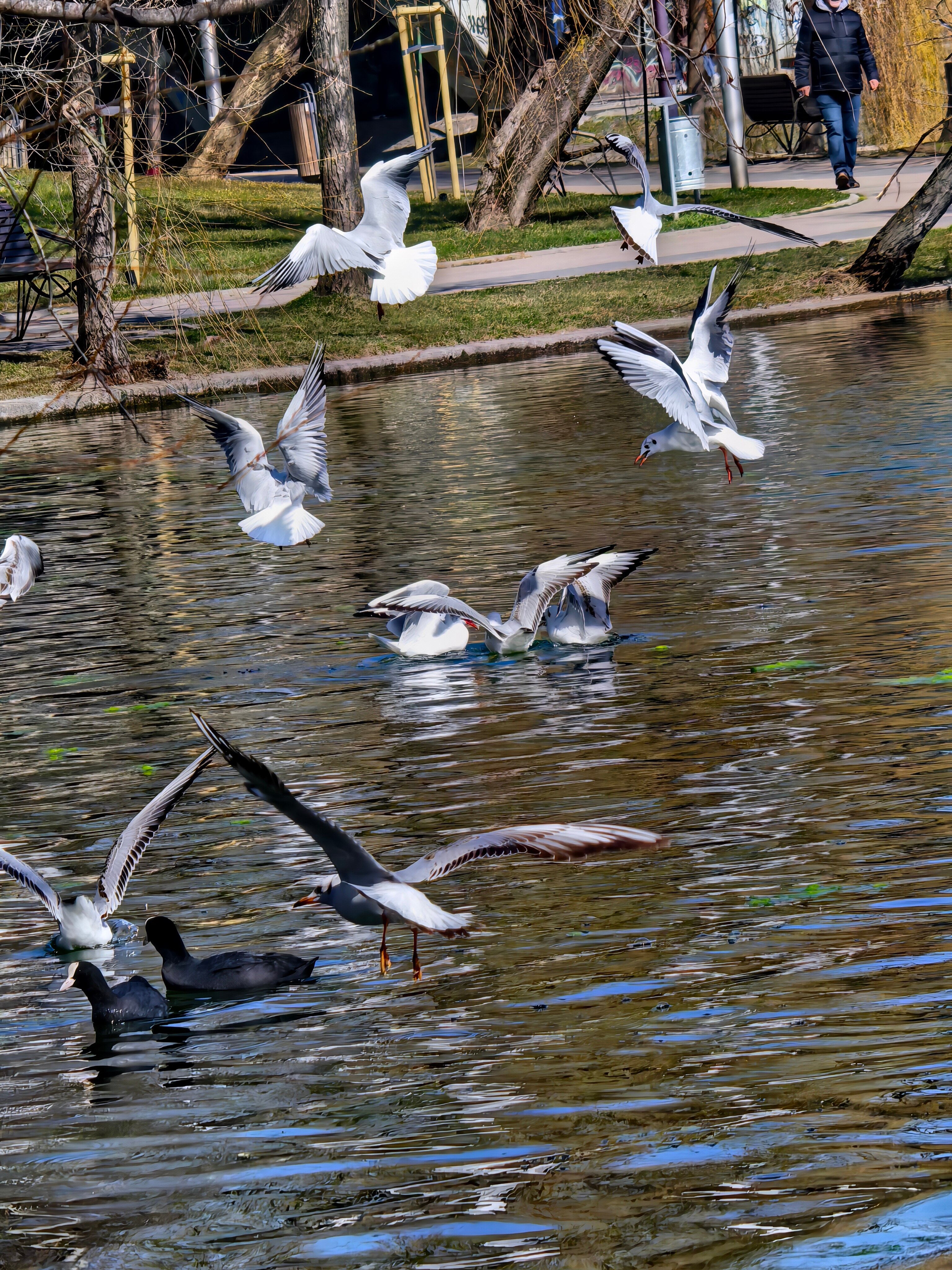 Telefon mobil Huawei Pura 80 Ultra, 512GB, 16GB RAM, Prestige Gold