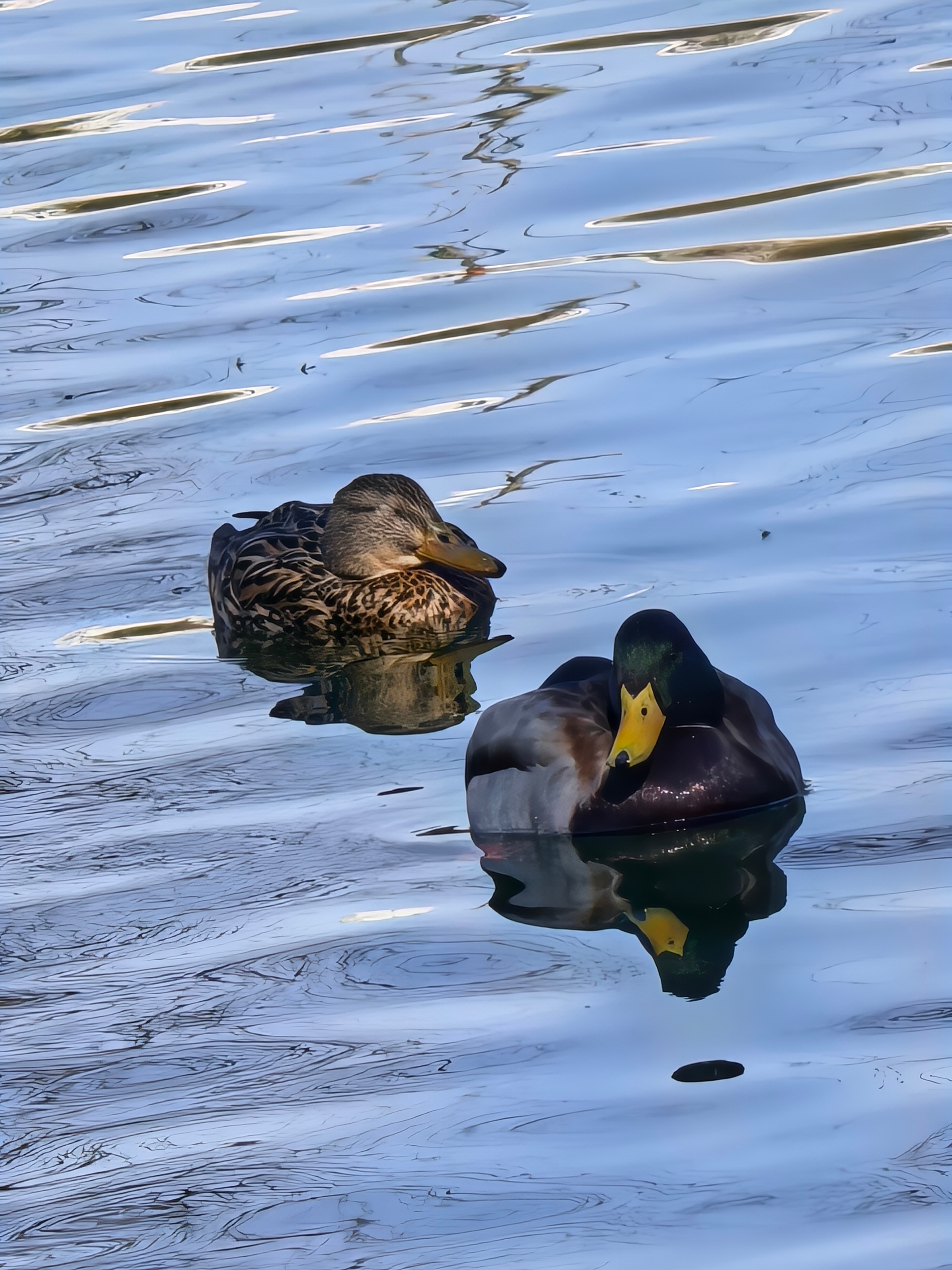 Telefon mobil Huawei Pura 80 Ultra, 512GB, 16GB RAM, Prestige Gold