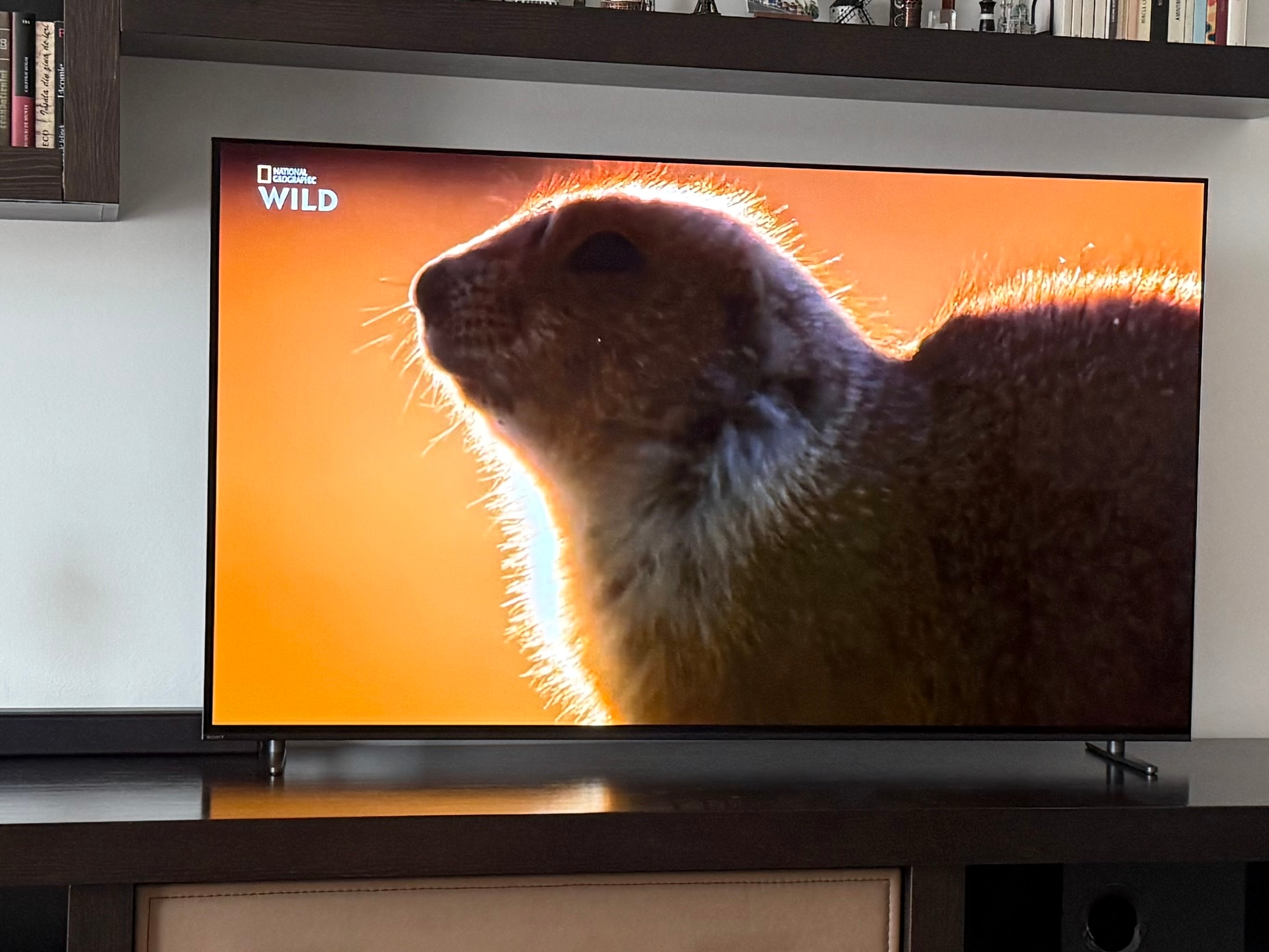 Televizor Sony BRAVIA 8 OLED 65XR80, 164 cm, Smart Google TV, 4K Ultra HD, 100 Hz, Clasa E
