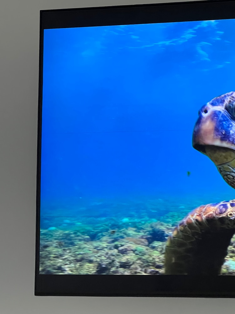 Televizor Samsung 65Q60B, 163 cm, Smart, 4K Ultra HD, QLED, Clasa F