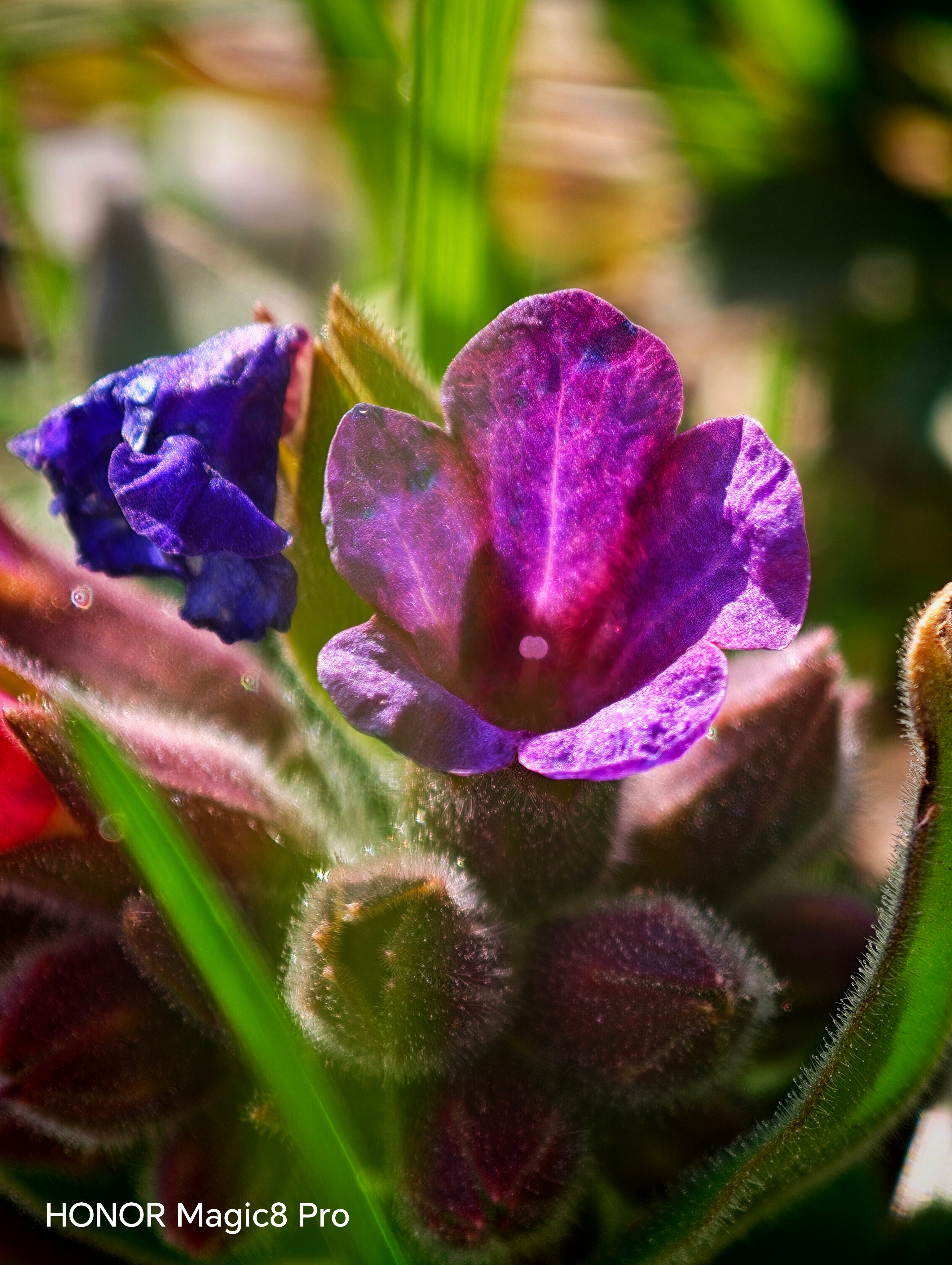 Telefon mobil Honor Magic 8 Pro, Dual SIM, 12GB RAM, 512GB, Sunrise Gold - Casti Honor Choice Earbuds X7e Active incluse