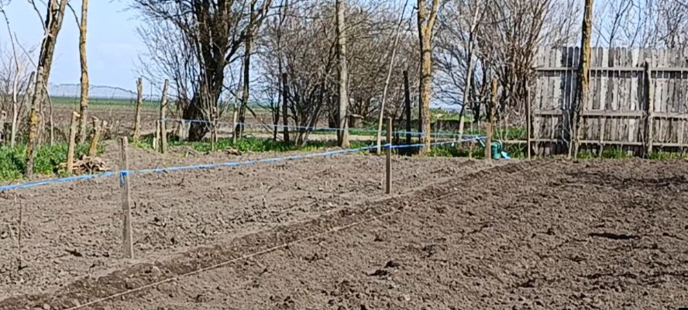 Telefon mobil Xiaomi Redmi Note 14, 8GB RAM, 256GB, Midnight Black