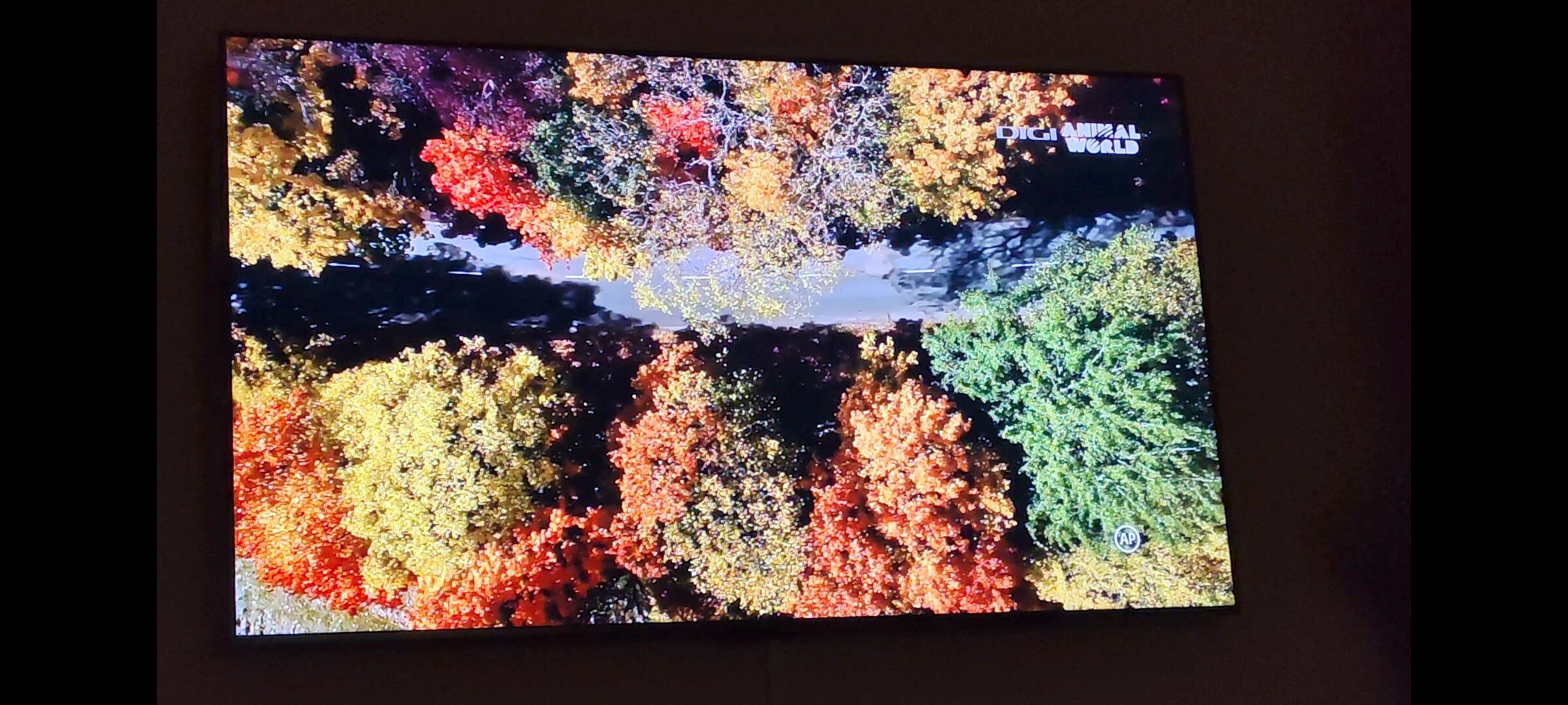 Televizor TCL QD-MiniLed 75C7K, 189 cm, Smart Google TV, 4K Ultra HD, 100Hz, Sunet Bang & Olufsen, Clasa F (Model 2025)