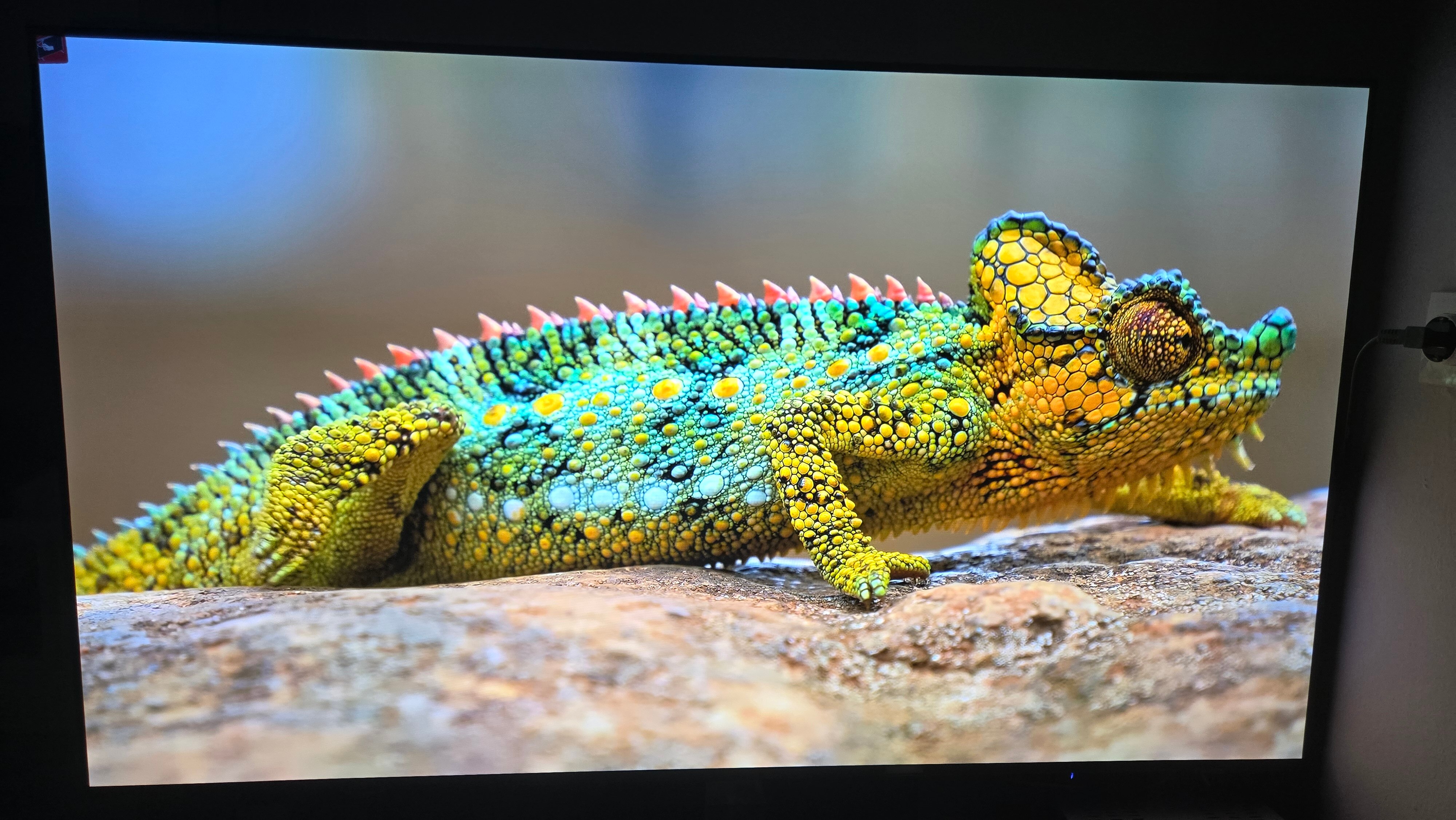 Televizor SAMSUNG OLED 65S90F, 163 cm, Smart, 4K Ultra HD, 100 Hz, Clasa F (Model 2025)