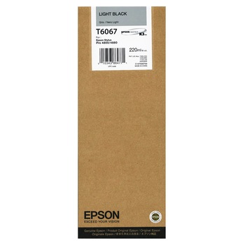 Imagini EPSON C13T606700 - Compara Preturi | 3CHEAPS