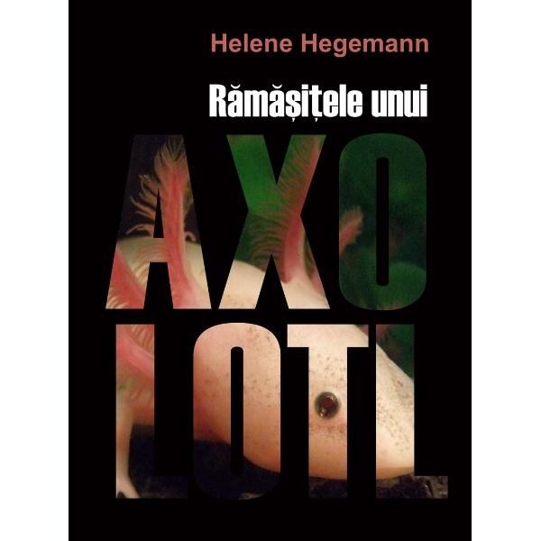 Ramasitele unui Axolotl. In afara colectiilor