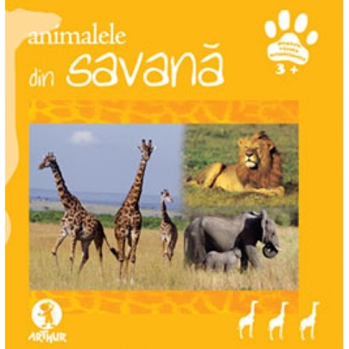 Animalele din savana - Donatella Bergamino