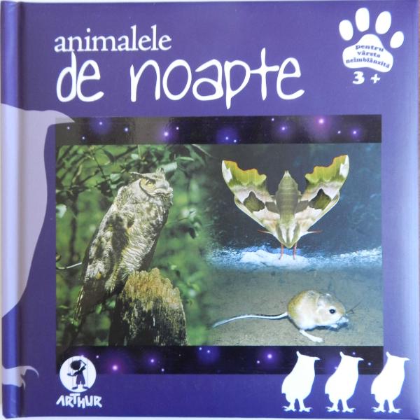 Animalele de noapte - Teodora Terciu