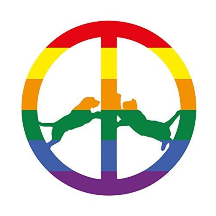 Hype Williams - Rainbow Edition (1CD)