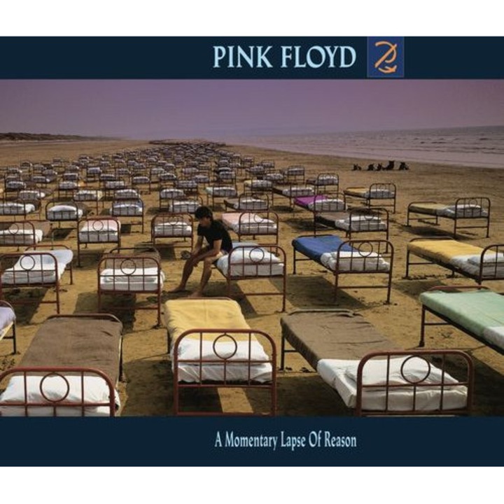 Pink Floyd - A Momentary Lapse Of Reason (1CD)