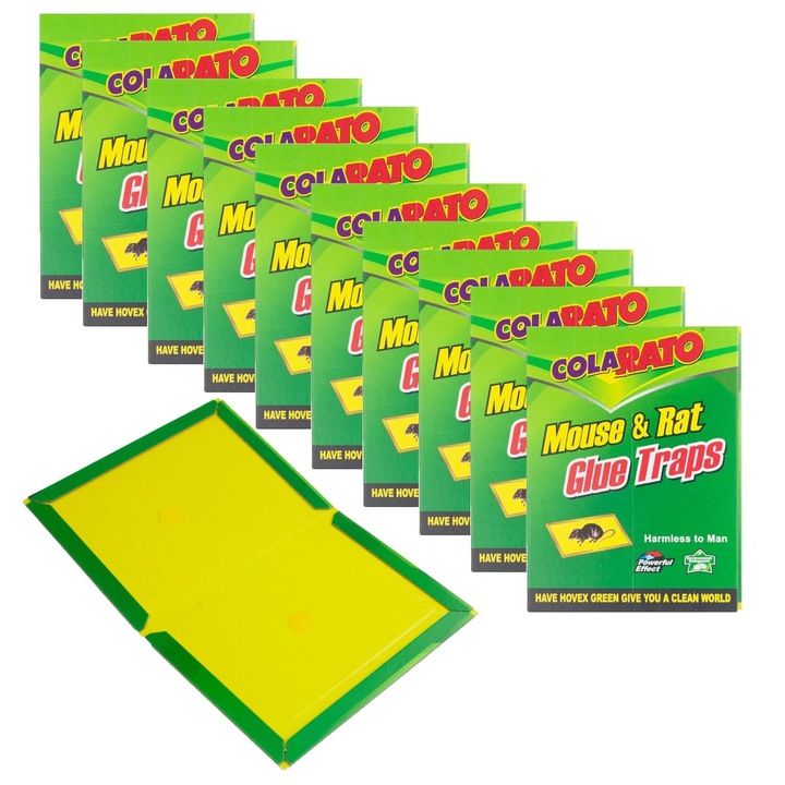 Set 10 capcane pentru soareci, Top Gift, 21x16cm, lipici puternic