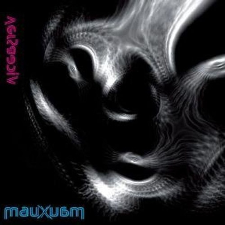 Mauxuam: Viceversa [CD]