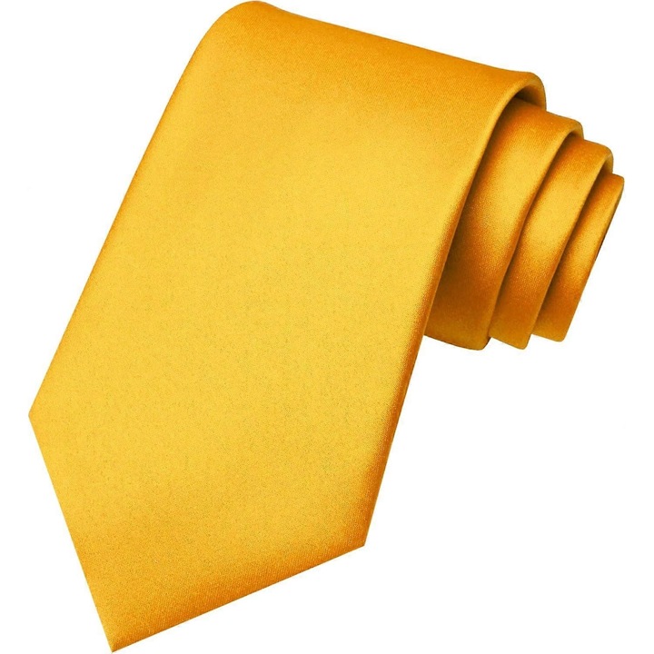 Cravata barbati, 58x8cm, elegant, pentru ocazii formale