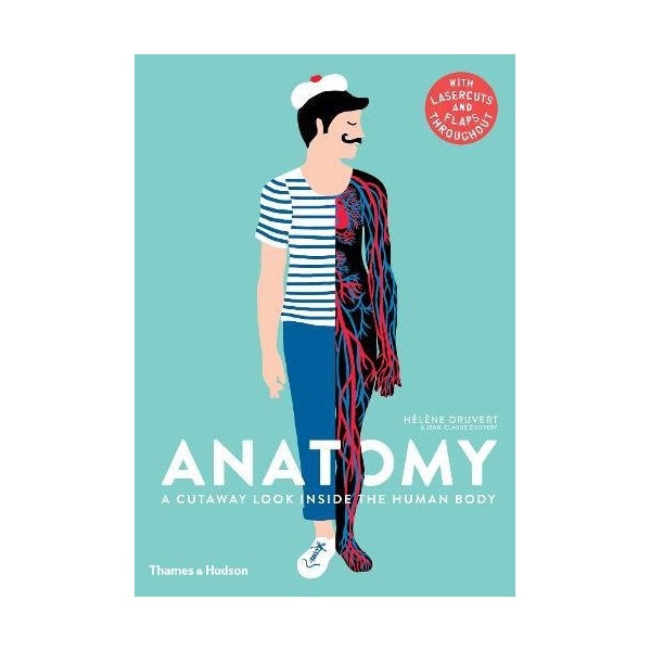 Anatomy - A Cutaway Look Inside the Human Body - Helene Druvert,Jean-Claude Druvert
