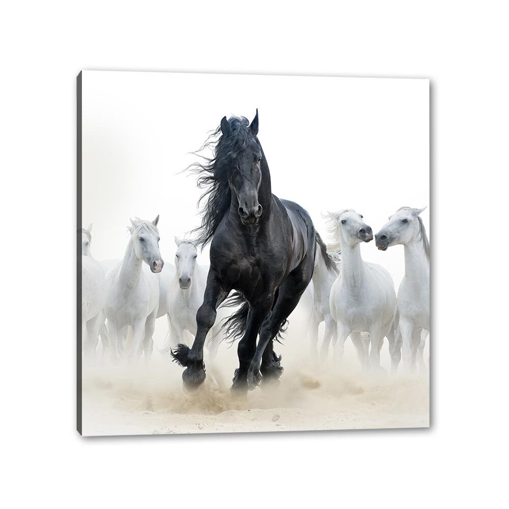 Tablou Canvas Black Horse, 50cm x 70cm