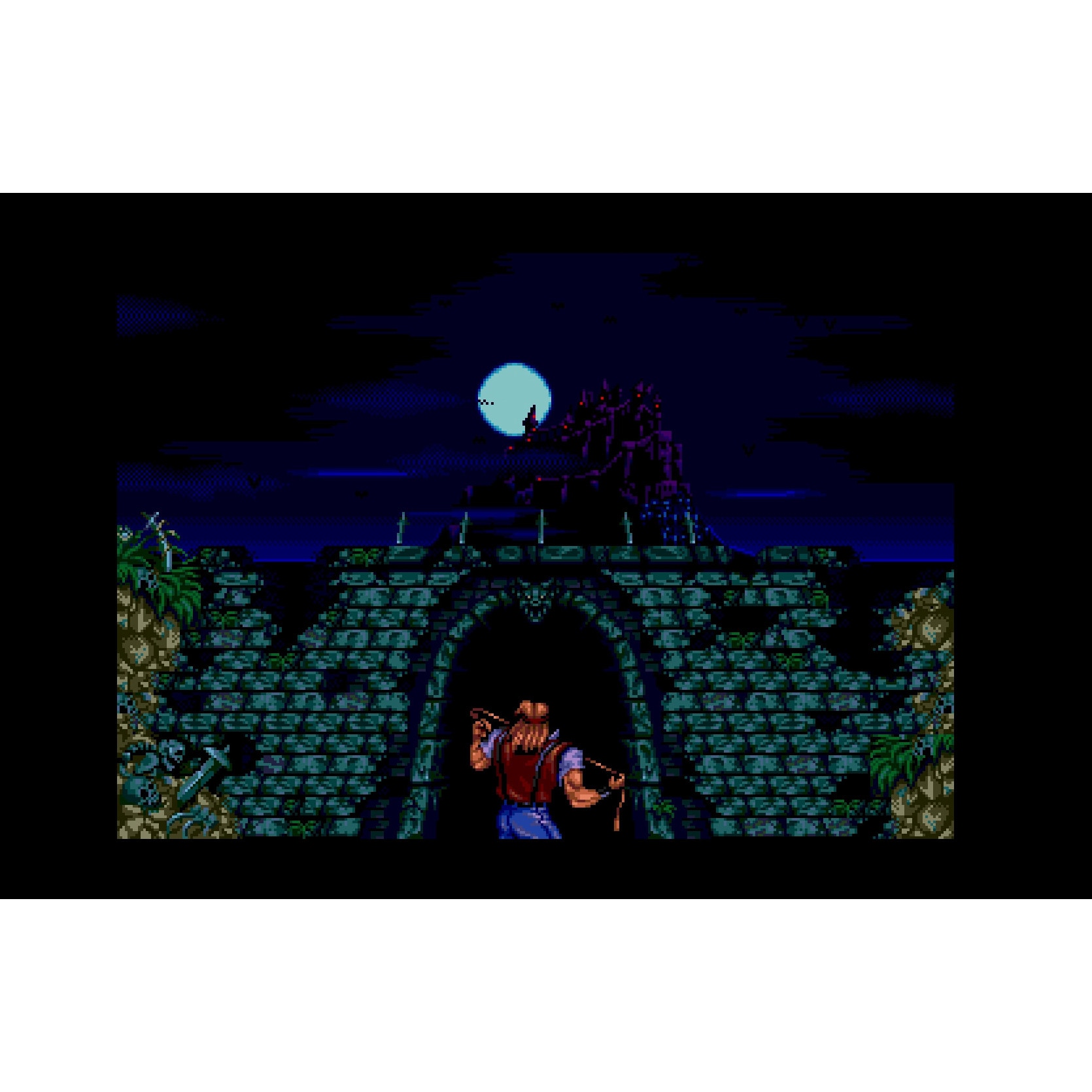 Joc Castlevania Anniversary Collection Deluxe Edition Pentru