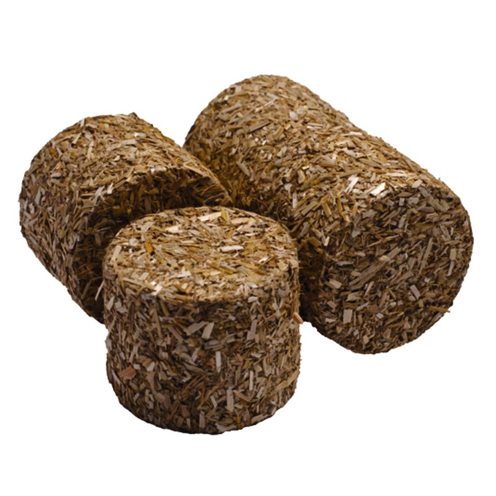 Set baloti de fan de jucarie, Kids Globe, 4 piese, plastic/lemn, 3 ani+