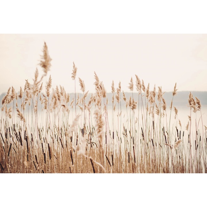 Магнитна маска за радиатор, Naklejkomania, 60x100 см, Бохо дизайн, лесна за монтаж