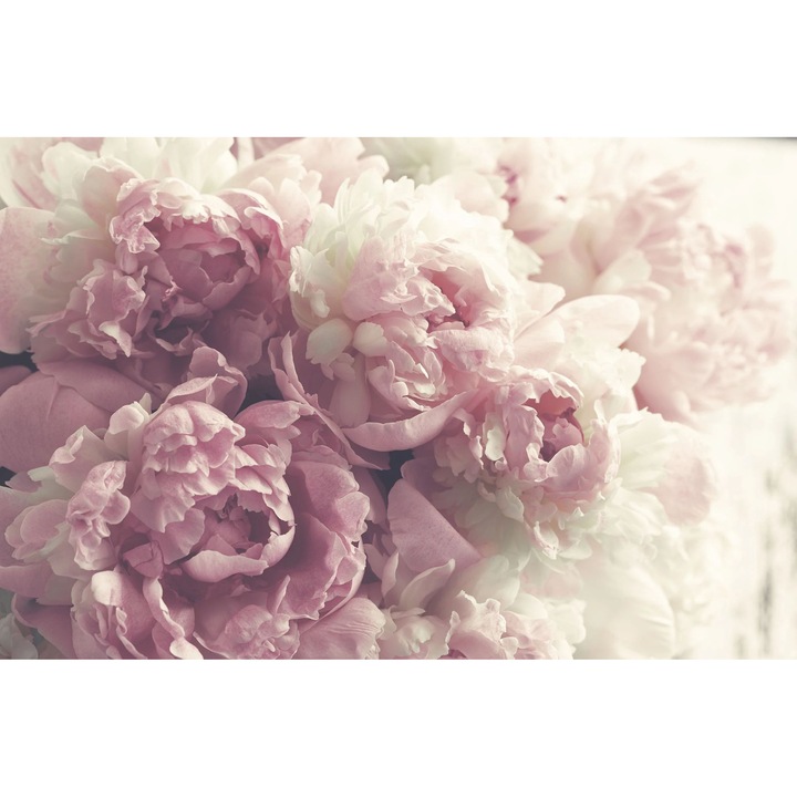 Магнитна маска за радиатор, Naklejkomania, цветове на божур, 60x100 см