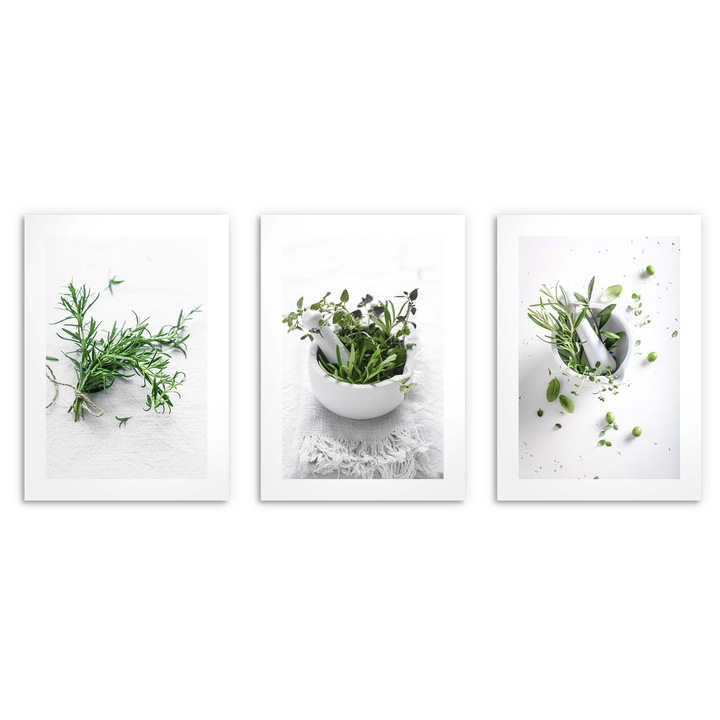 Комплект от 3 картини Зиола Галацки, 50x70 см, декорация за кухня, интензивни цветове