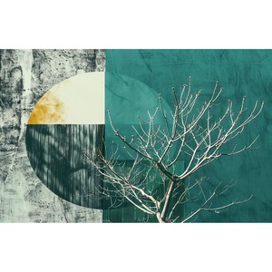 Accesorii calorifere