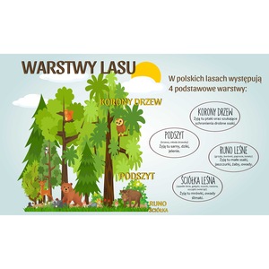 Accesorii calorifere