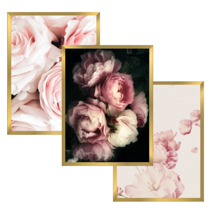 Set tablouri cu rame aurii, 3 bucati, flori, 30x40cm