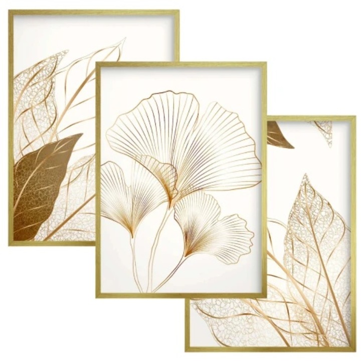 Set tablouri cu rama aurie, 3 postere, 30x40cm, Naklejkomania