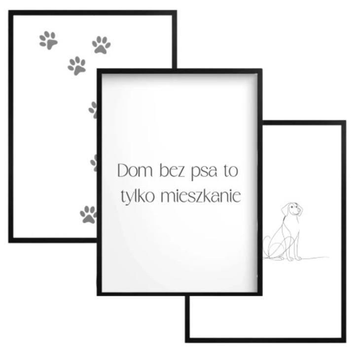 Set tablouri cu rame negre, 3 bucati, 30x40cm, Naklejkomania, design modern, culori vii