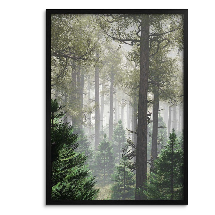Декоративна картина, 50x70 см, Лас Джева, черна рамка, HD печат върху фотографска хартия Premium 240 гр.