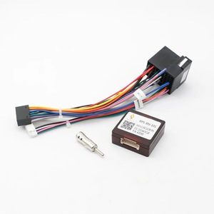 Accesorii electronice auto