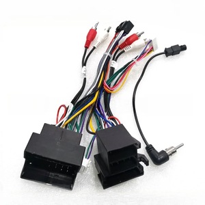 Accesorii electronice auto