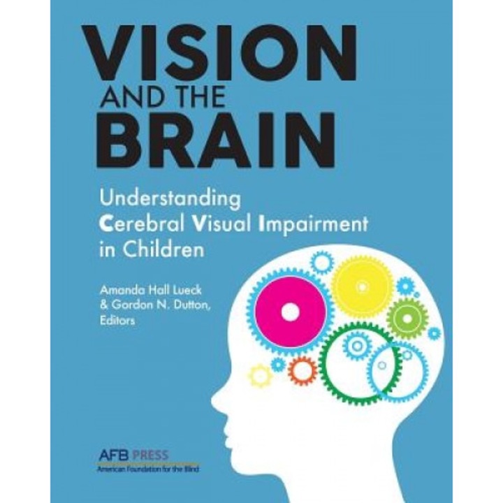 Vision and the Brain: Understanding Cerebral Visual Impairment in Children - Amanda Hall Lueck (Editor)