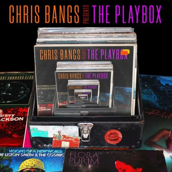 Various Artists - Chris Bangs Presents The Playbox (1Vinyl)