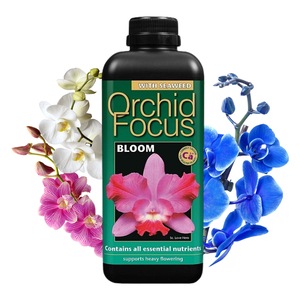 Pamant flori, ingrasaminte si pesticide