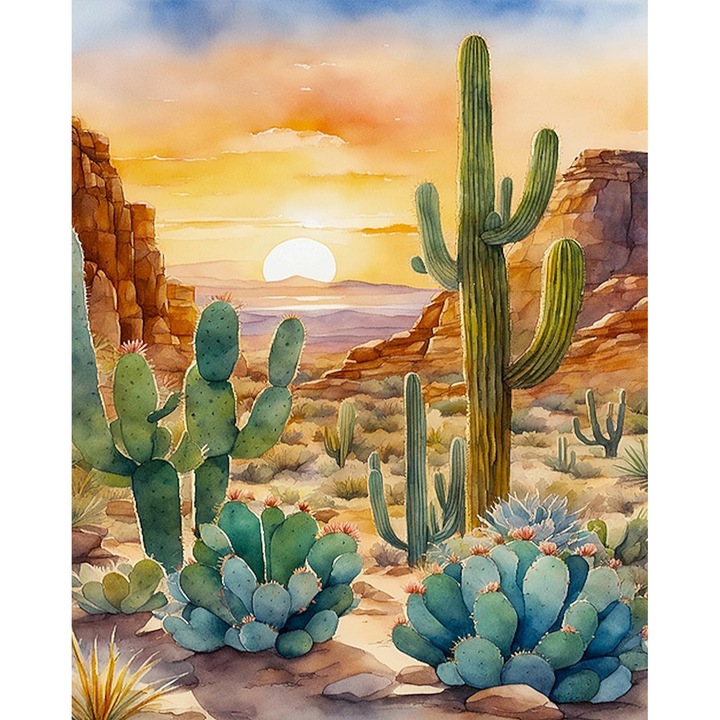 Pictura pe numere, Desert cu cactusi si plante suculente 40 x 50 cm fara rama