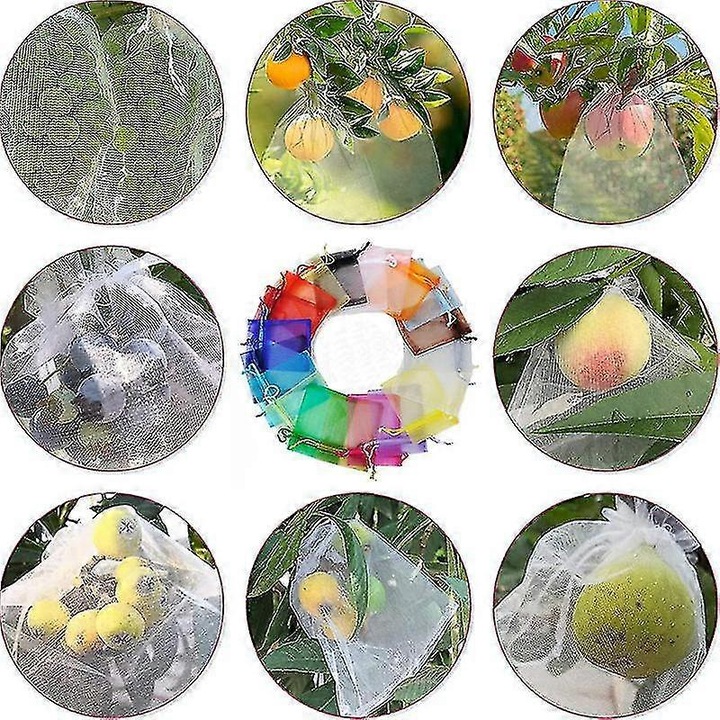 Set 100 pungi de protectie pentru struguri 30x20cm, organza, cu snur, transparente, pentru fructe
