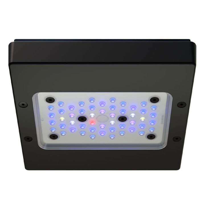 Iluminare acvarii Ecotech Marine Radion XR15 G6, 126,3° dispersie, albastru