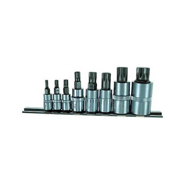 12-szögű dugókulcs készlet, Beast, M4-M16 méretek, CrV acél, tartóval