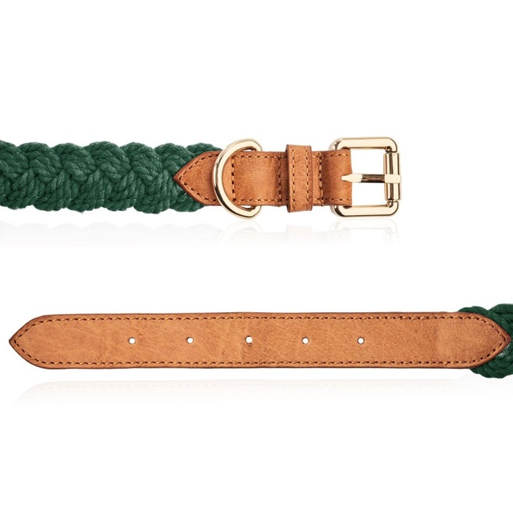 Zöld bőr nyakörv kutyáknak, Petsome, S méret, 2,5 cm széles, 21-32 cm nyakkörfogat, szett újrahasználható táskával