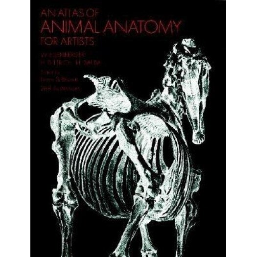 An Atlas of Animal Anatomy for Artists, Wilhelm Ellenberger, Frances A. Davis, W. Ellenberger